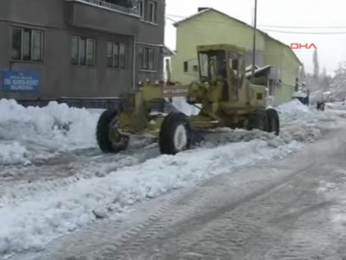 Bitlis\'te Aç Kalan Kurtlar Şehir Merkezine İndi