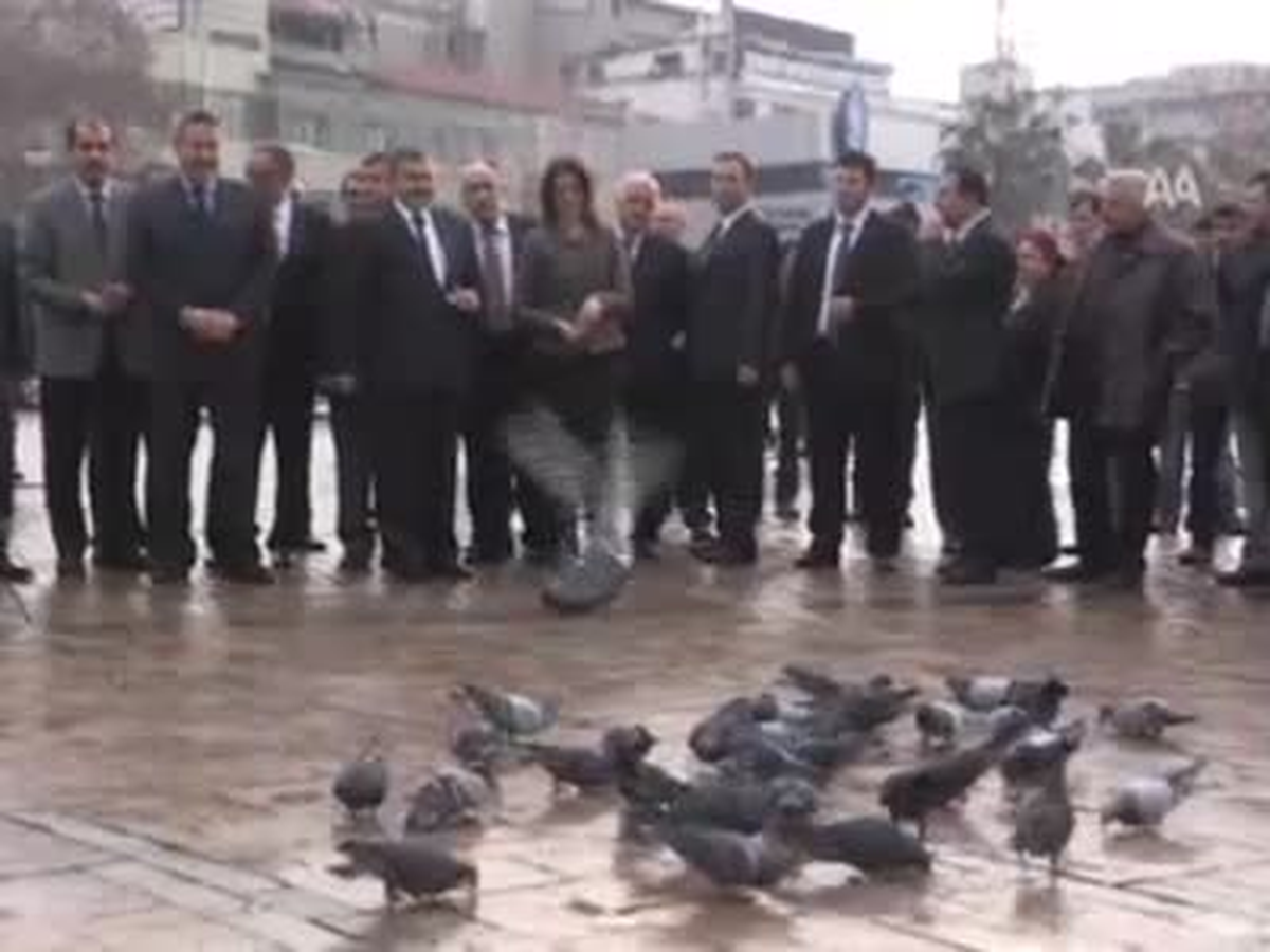 Eroğlu, Güvercinlere Yem Attı