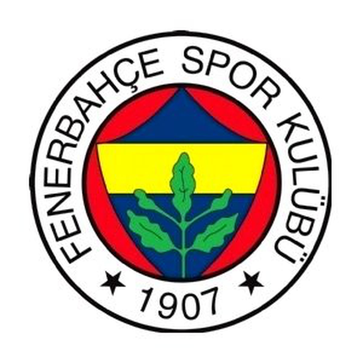 Fenerbahçe'nin Borcu 235 Milyon 409 Bin 424 Lira
