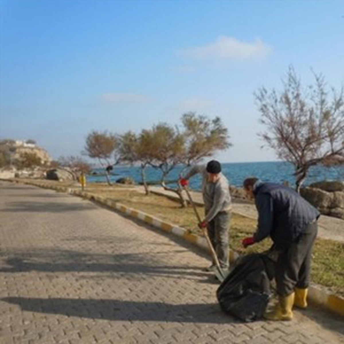Gelibolu\'da Park ve Bahçelerde Kış Temizliği