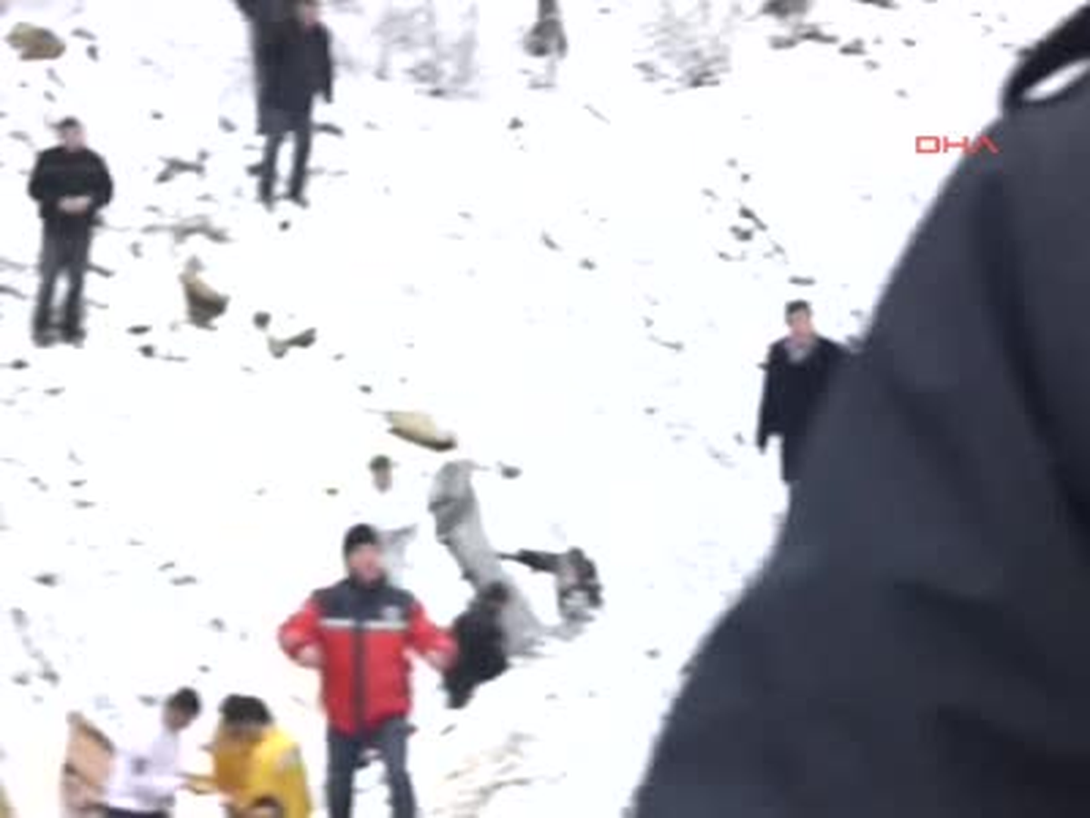 Kırklareli\'nde Feci Kaza: 4 Ölü