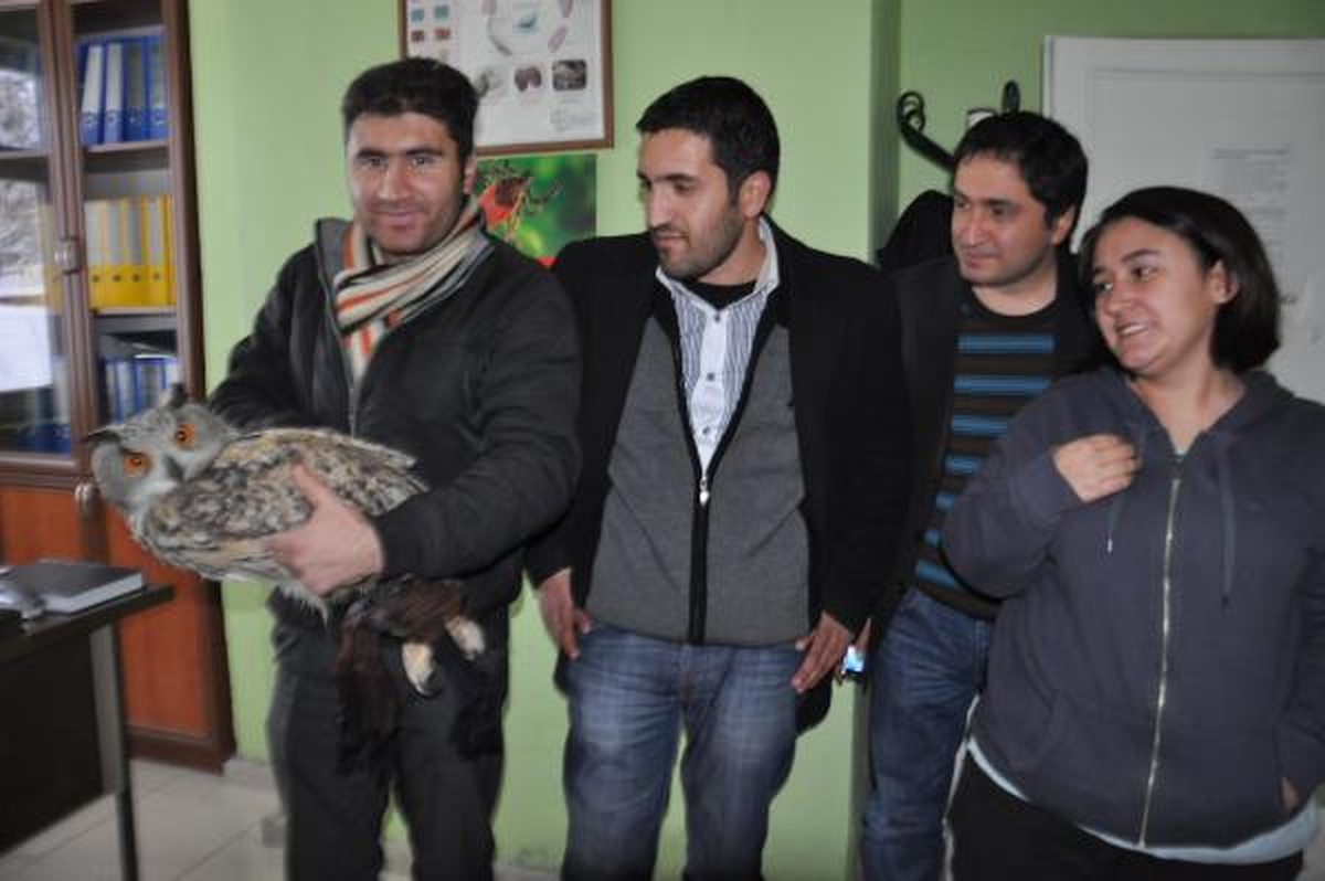Varto'da Yaralı Boynuzlu Baykuşa Kaymakam Sahip Çıktı