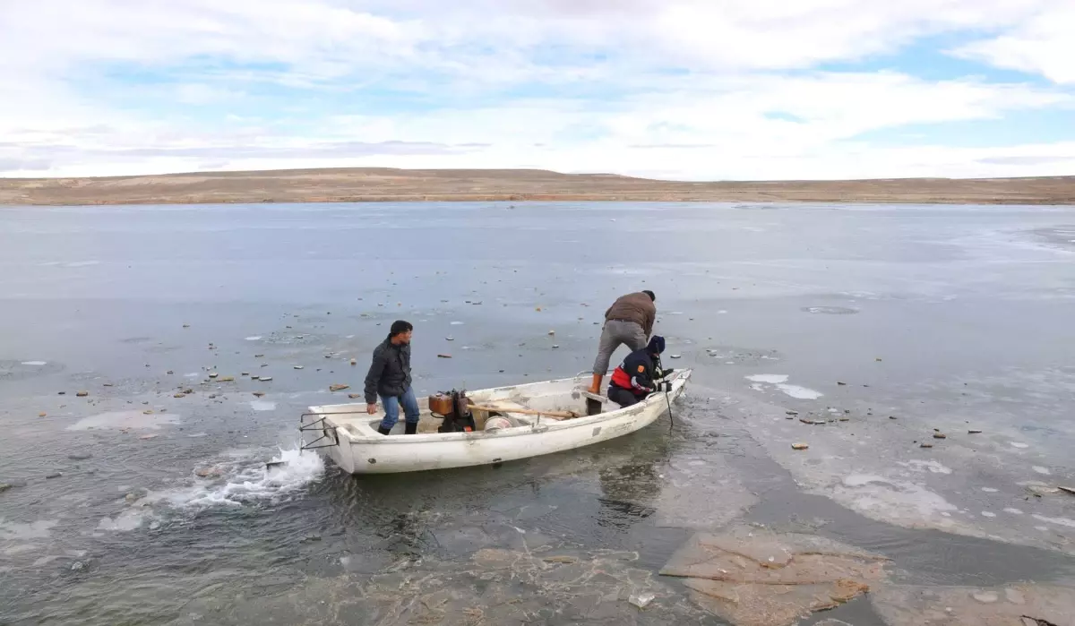 Yaralı Flamingoyu Kurtarma Operasyonu