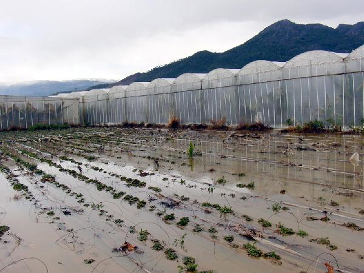 Anamur'da Muz ve Çilek Seraları Sular Altında Kaldı