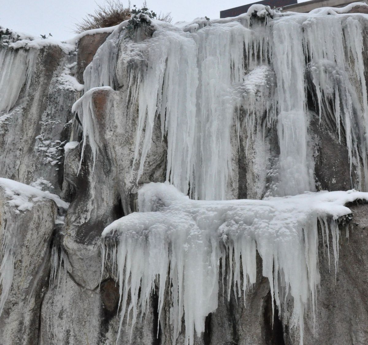 Erzurum\'da Sibirya Soğukları Araçları Dondurdu