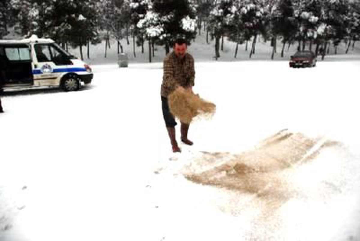 Kuşlar İçin Doğaya Yem Bıraktılar
