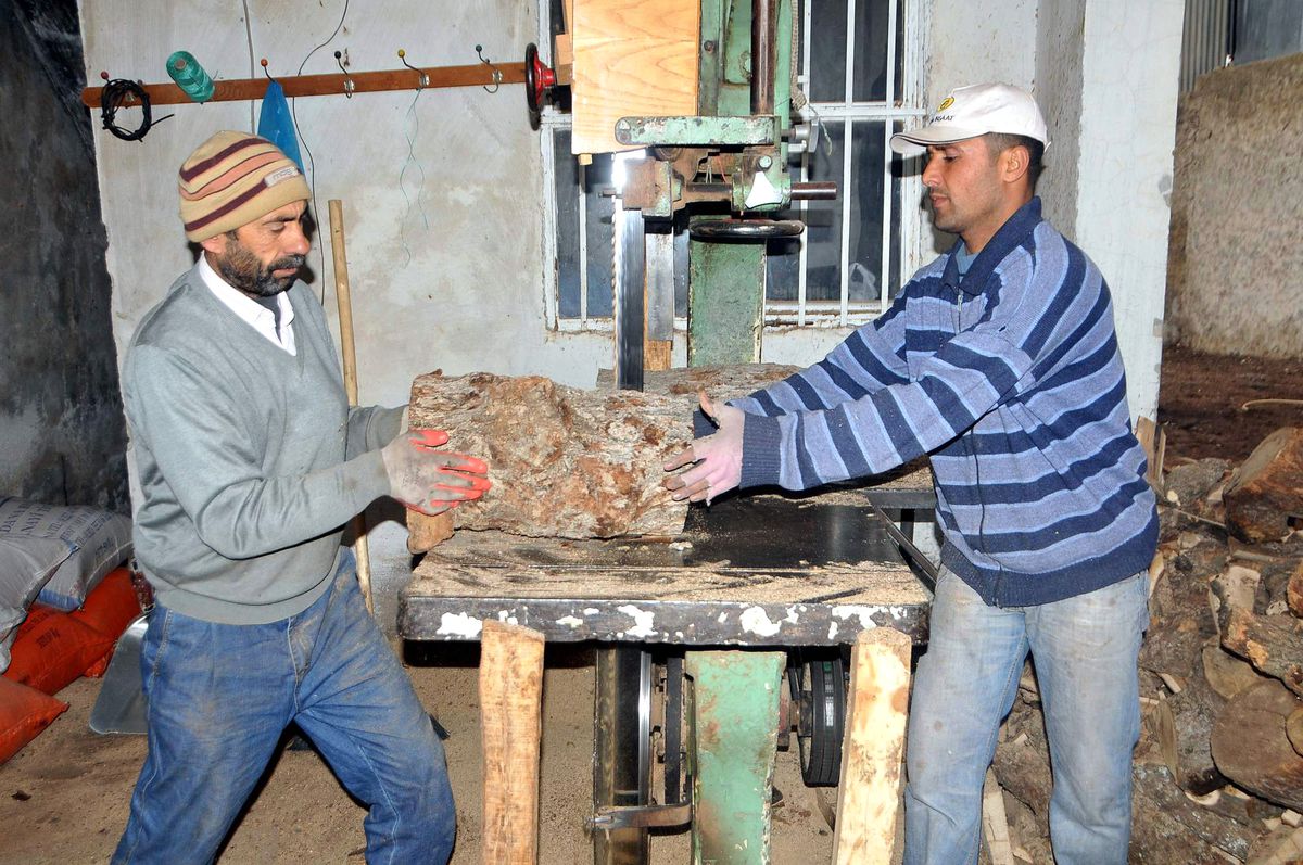Odun Satıcıları Mutlu