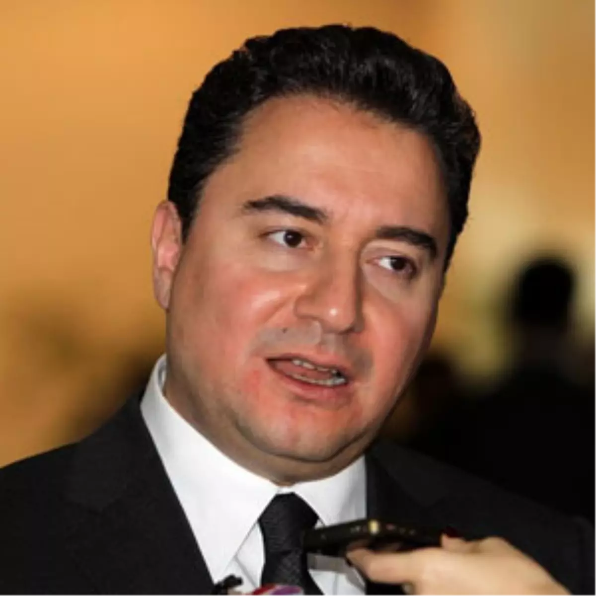 Babacan\'ın Davos Temasları