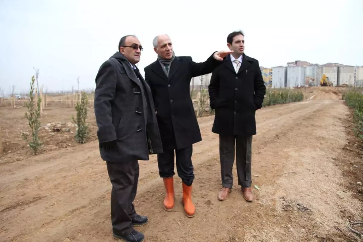 Başkan Ziyaettin Akbaş, Park Bahçeler Müdürlüğü\'nün Çalışmalarını İnceledi