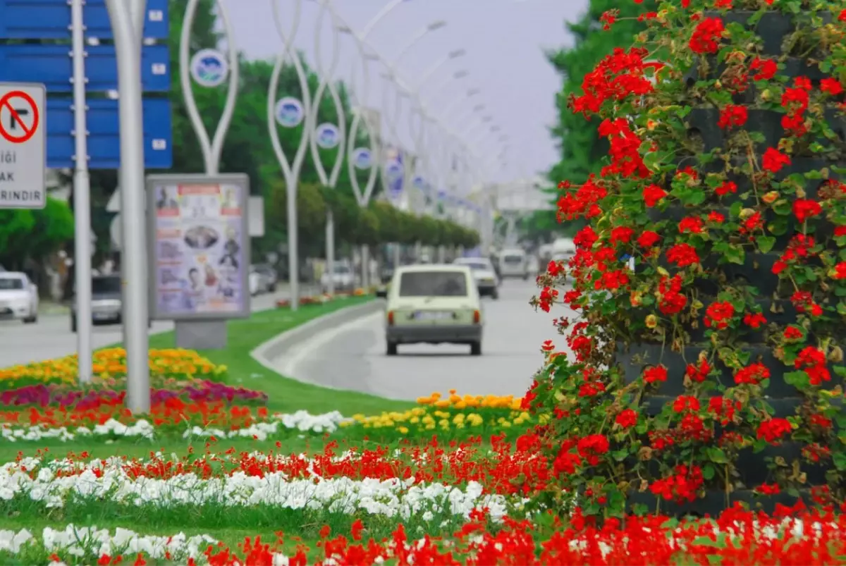 Çuha Çiçeği Dağ Yöresinin Kurtuluşu Olacak