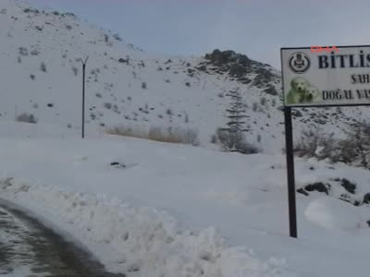 Dondurucu Soğuktan Etkilenen Hayvanlar İçin Yardım Çağrısı