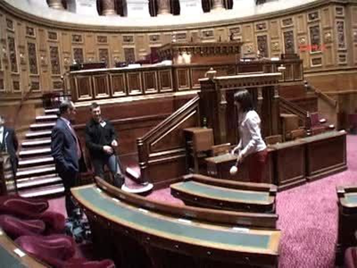 Fransız Senatosu 'İnkar Yasası'Nı Görüşüyor
