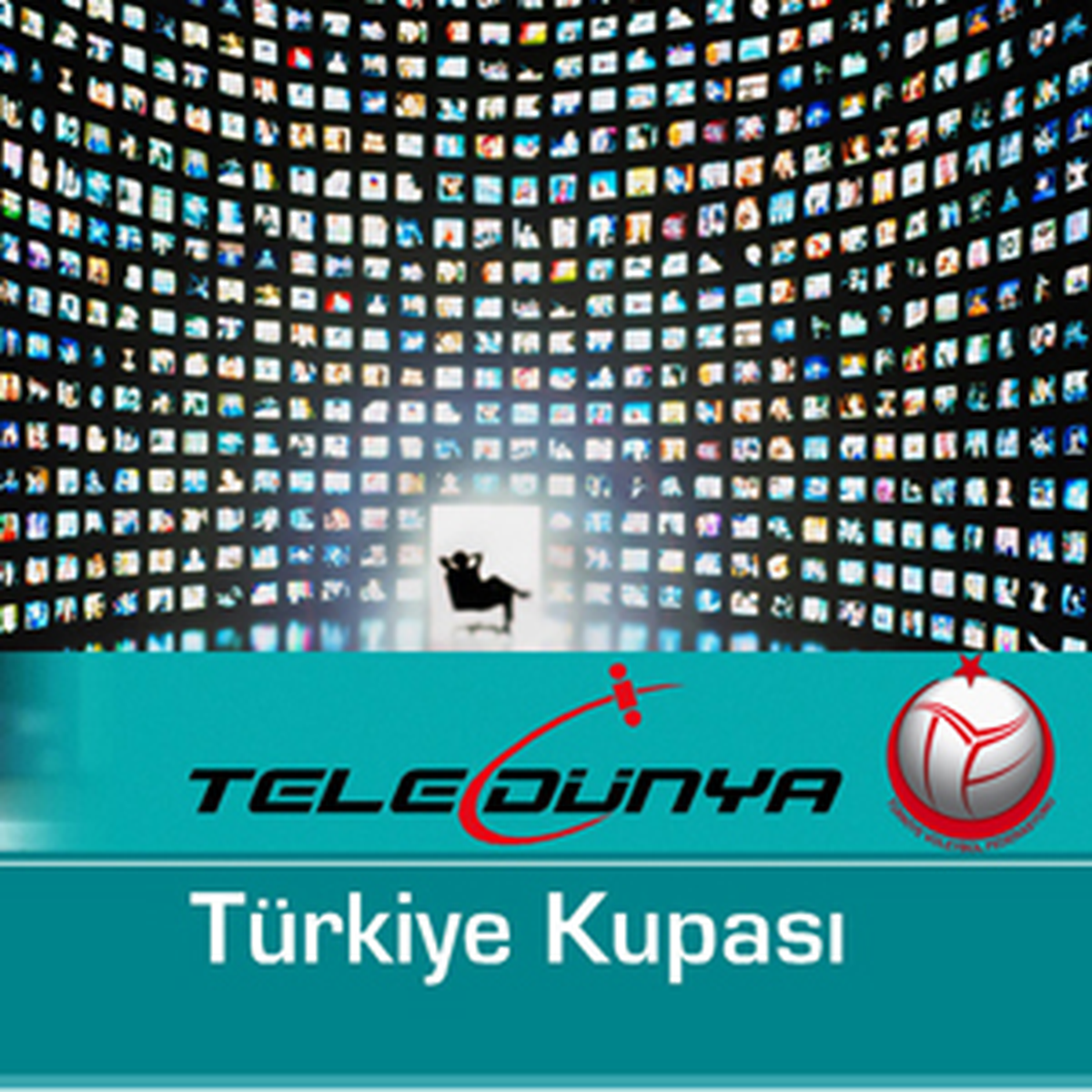 Teledünya Türkiye Kupası
