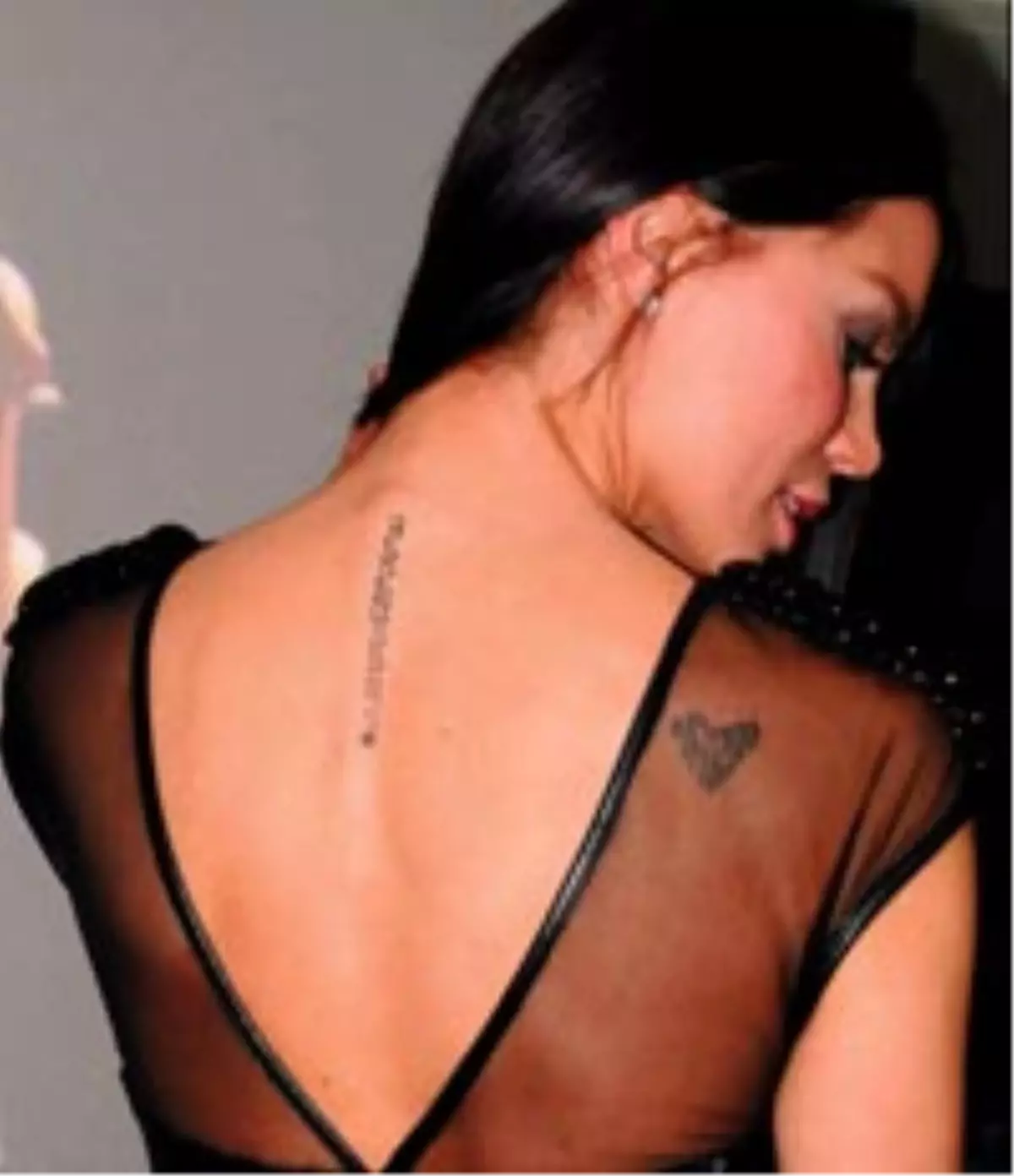 Tüm Aile Sırtında