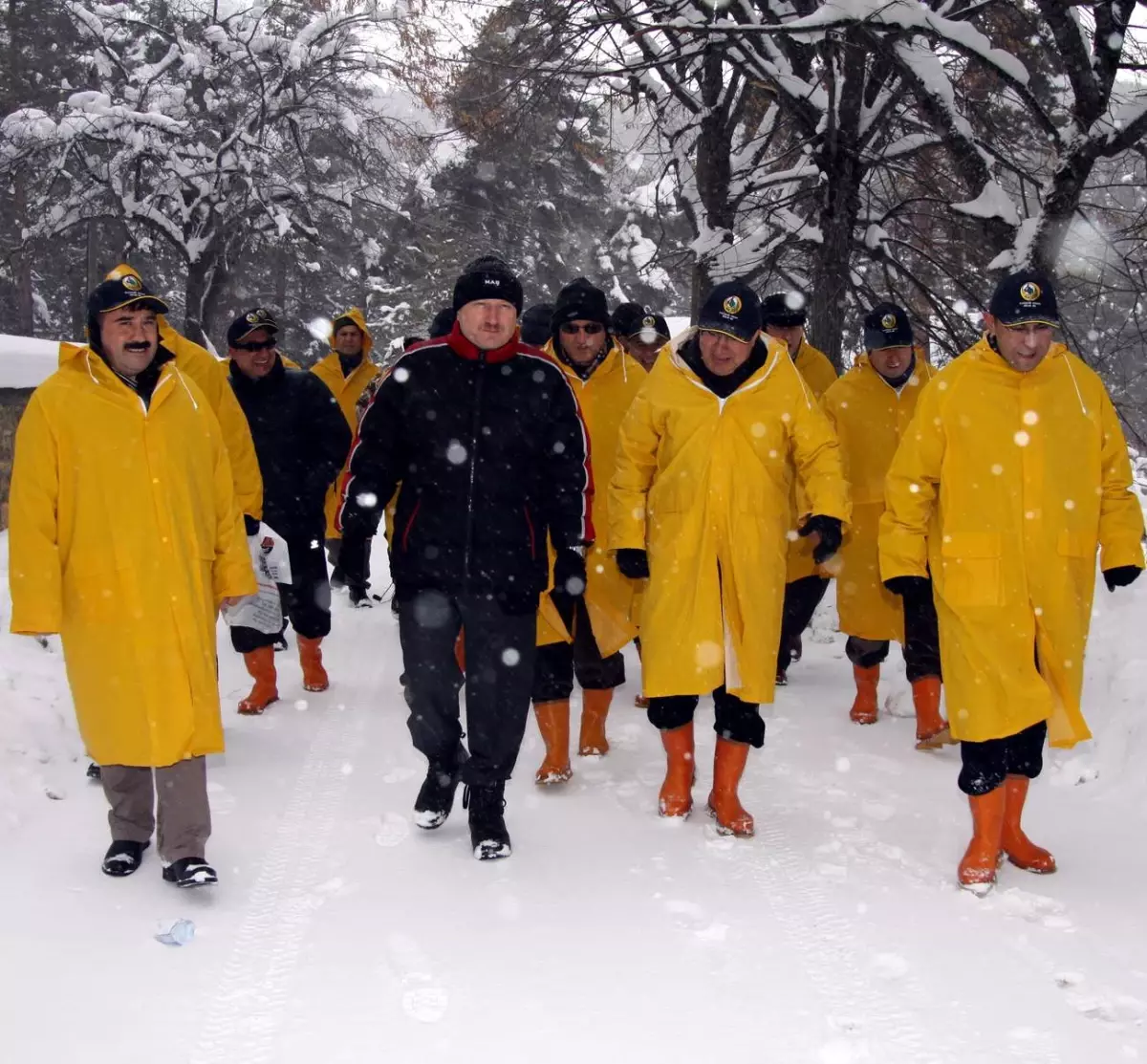 Vali Koçdemir, Çatacık Ormanlarını İnceledi