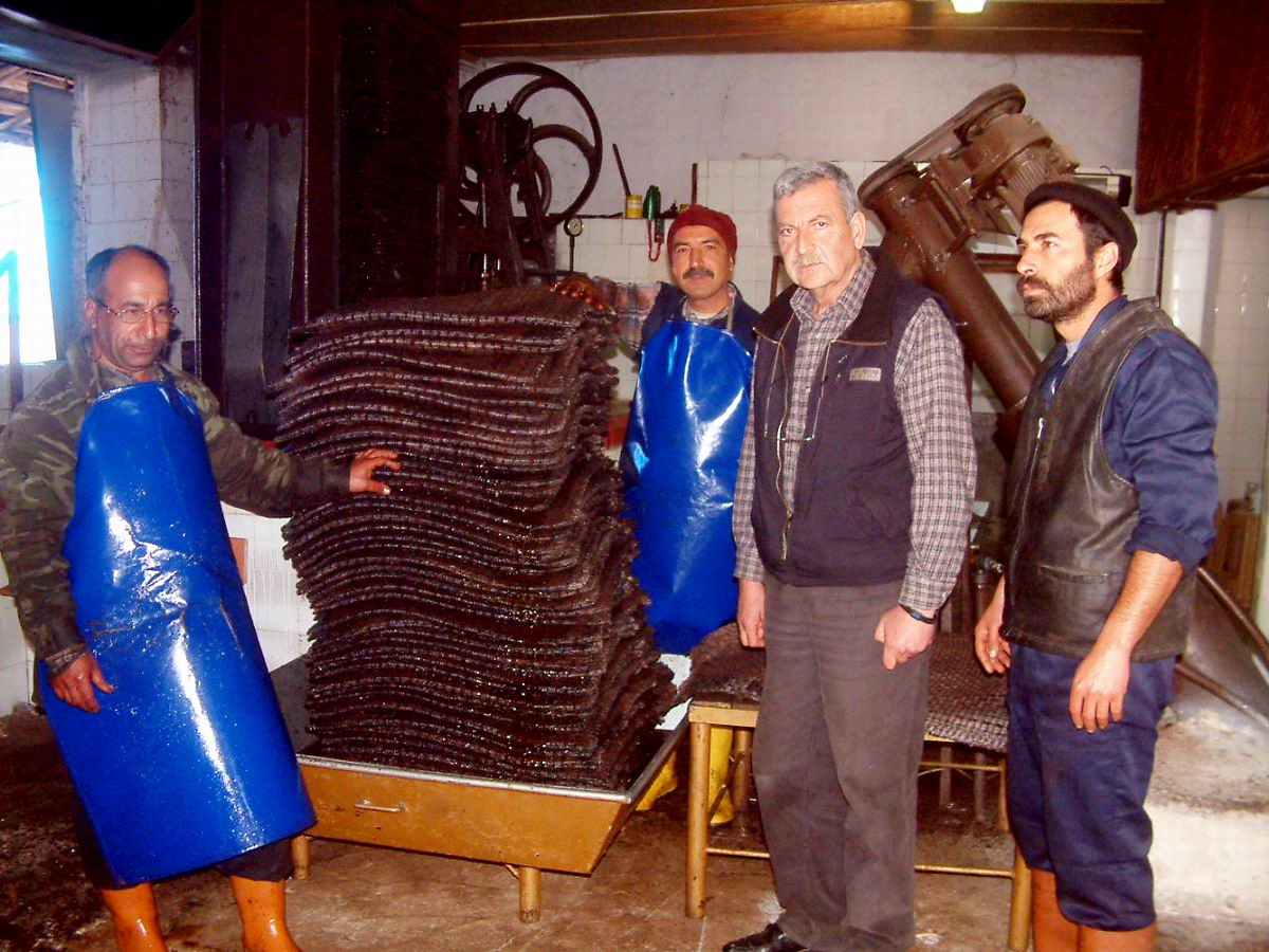 98 Yıllık Zeytinyağı Fabrikası Hala Hizmet Veriyor