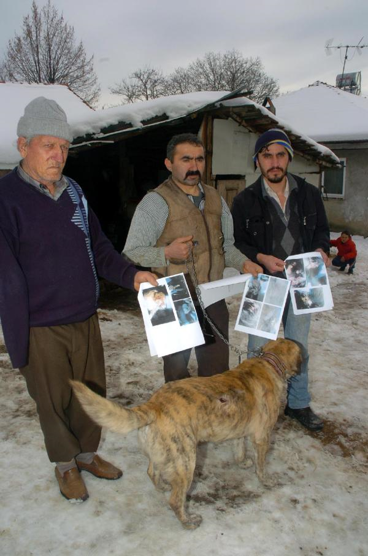 Ava Giderken, Peşlerine Takılan Sahipli Köpekleri Öldürdü