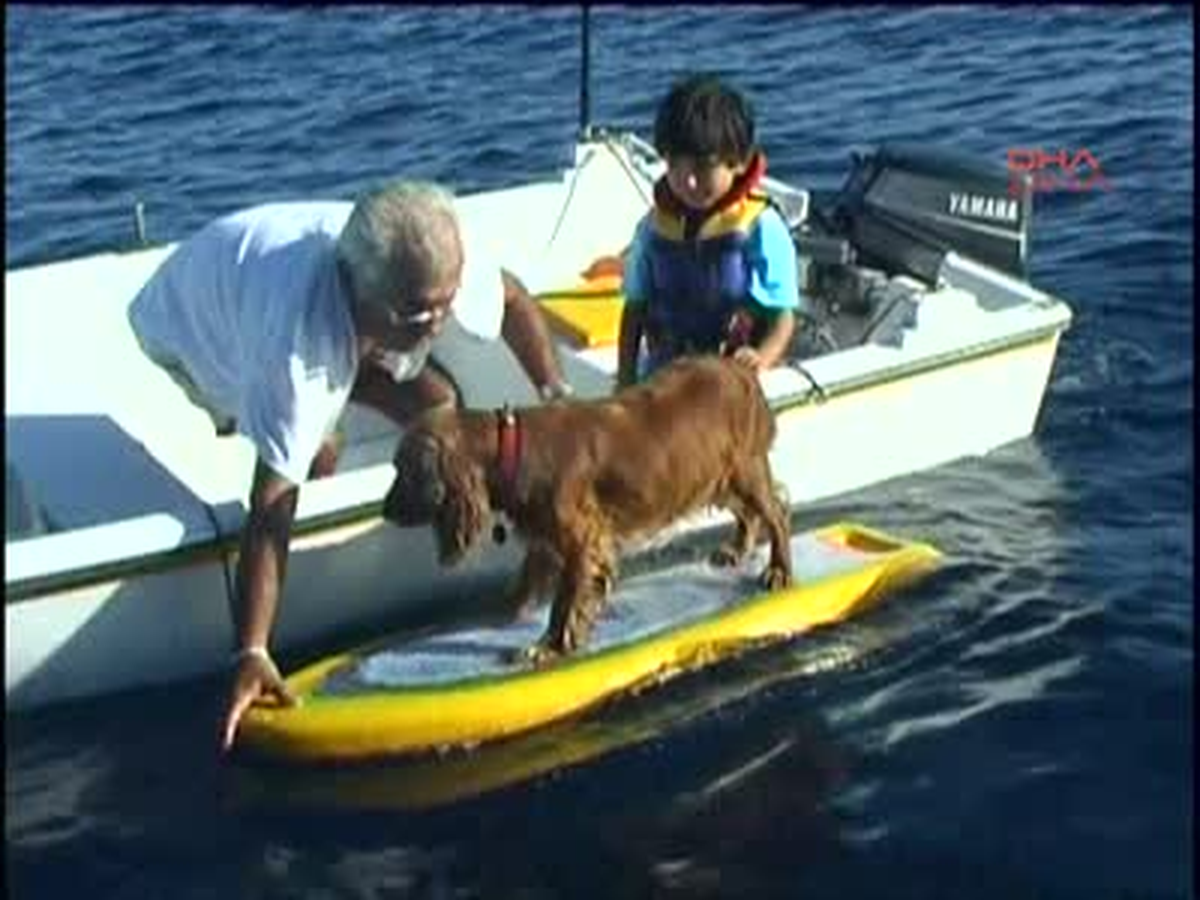 Bodrum ) Kaptan Mandalinci'nin Köpeği 'Cındy' Öldü