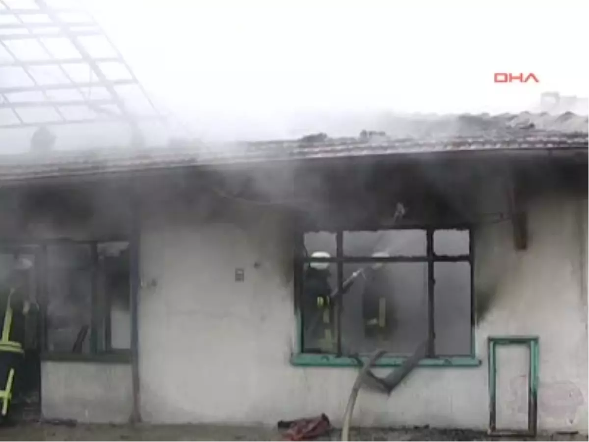 Kömür Sobası İki Evi Kül Etti Kömür Sobası İki Evi Kül Etti