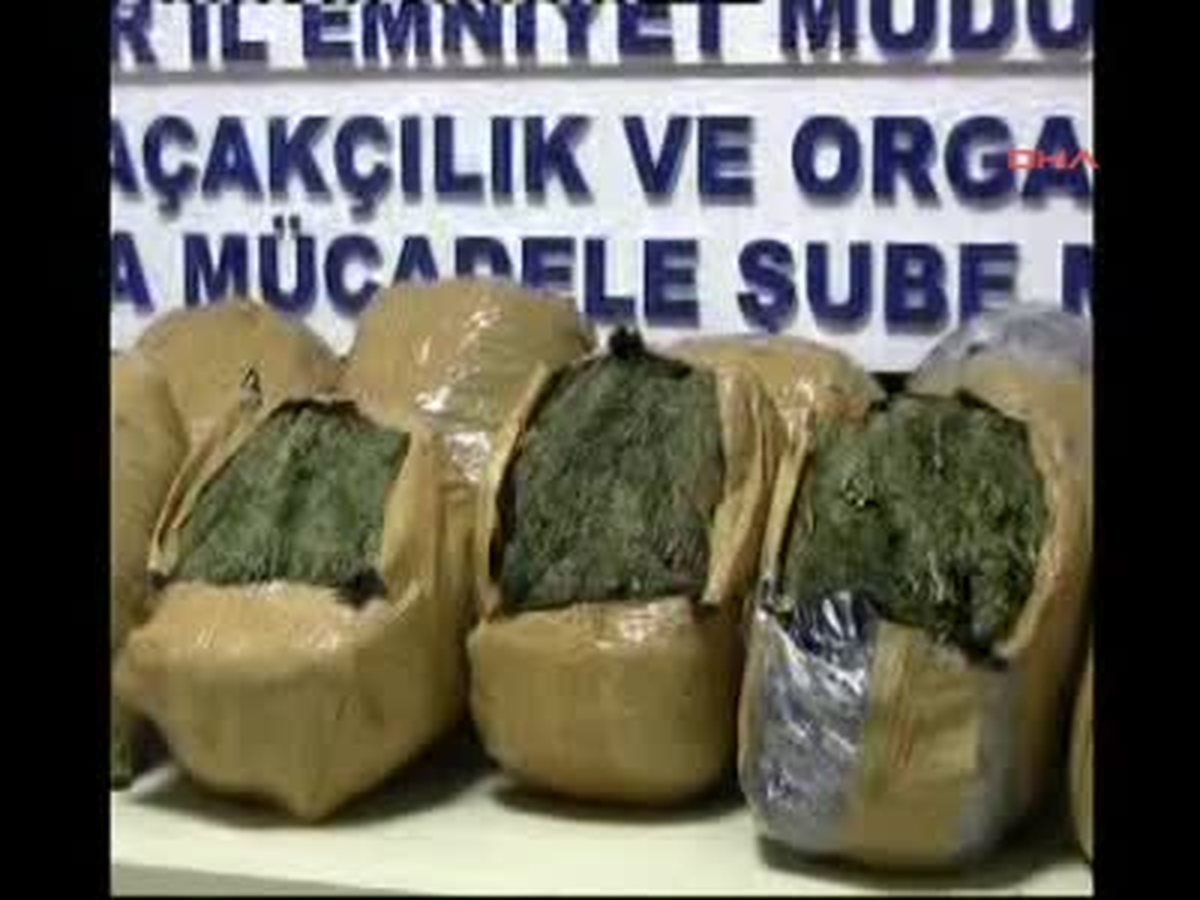 Narkotik Köpeği Maya\'nın Büyük Başarısı