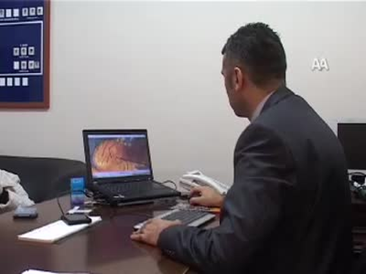 "Böcekten Suçluya" Ulaşılacak