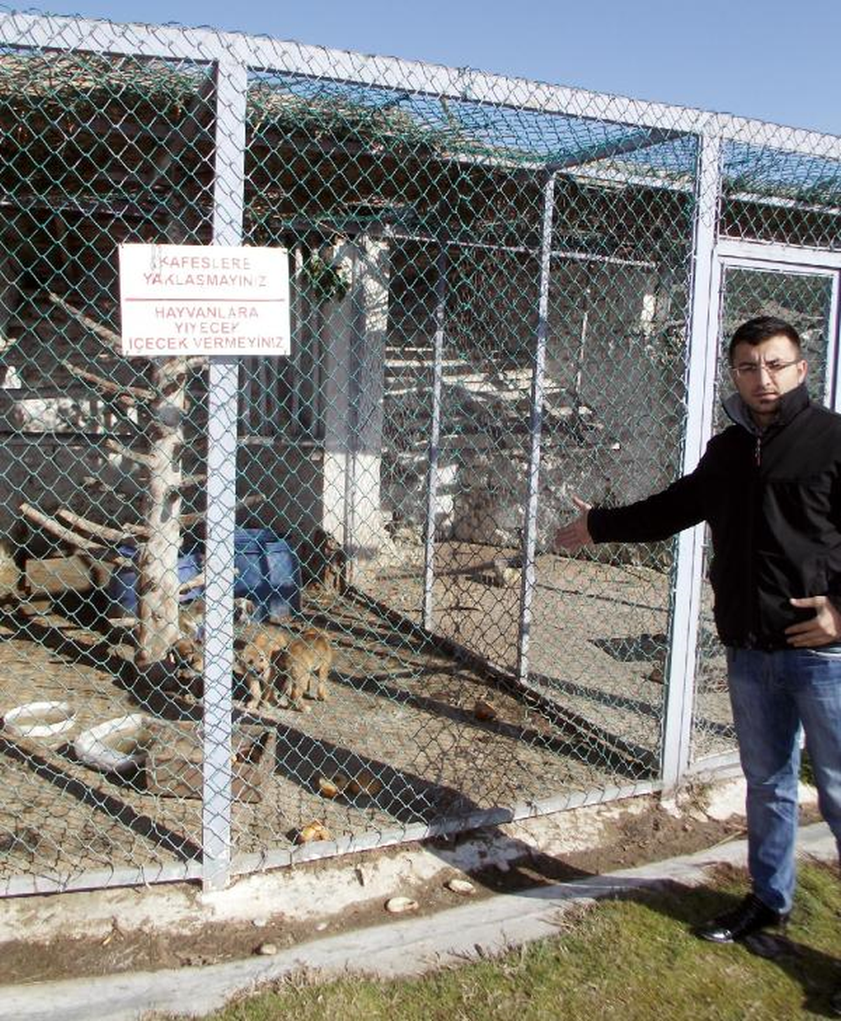 Eğirdir'de Belediyeye 'Barınakta Aç Bırakılan Köpekler Öldü' Tepkisi