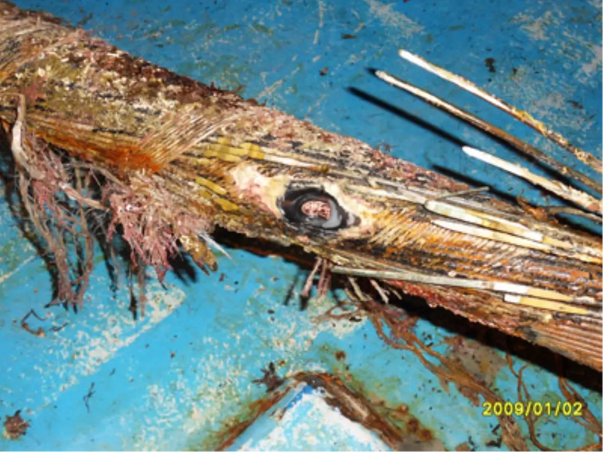 Gökçeada Süresiz Karanlıkta Kalabilir