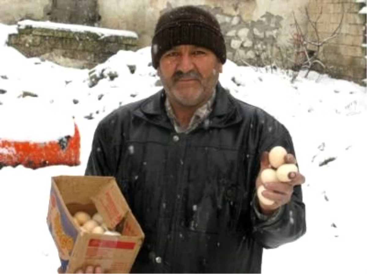 Kar Yağıyla Birlikte Köy Yumurtasının Fiyatı da Arttı