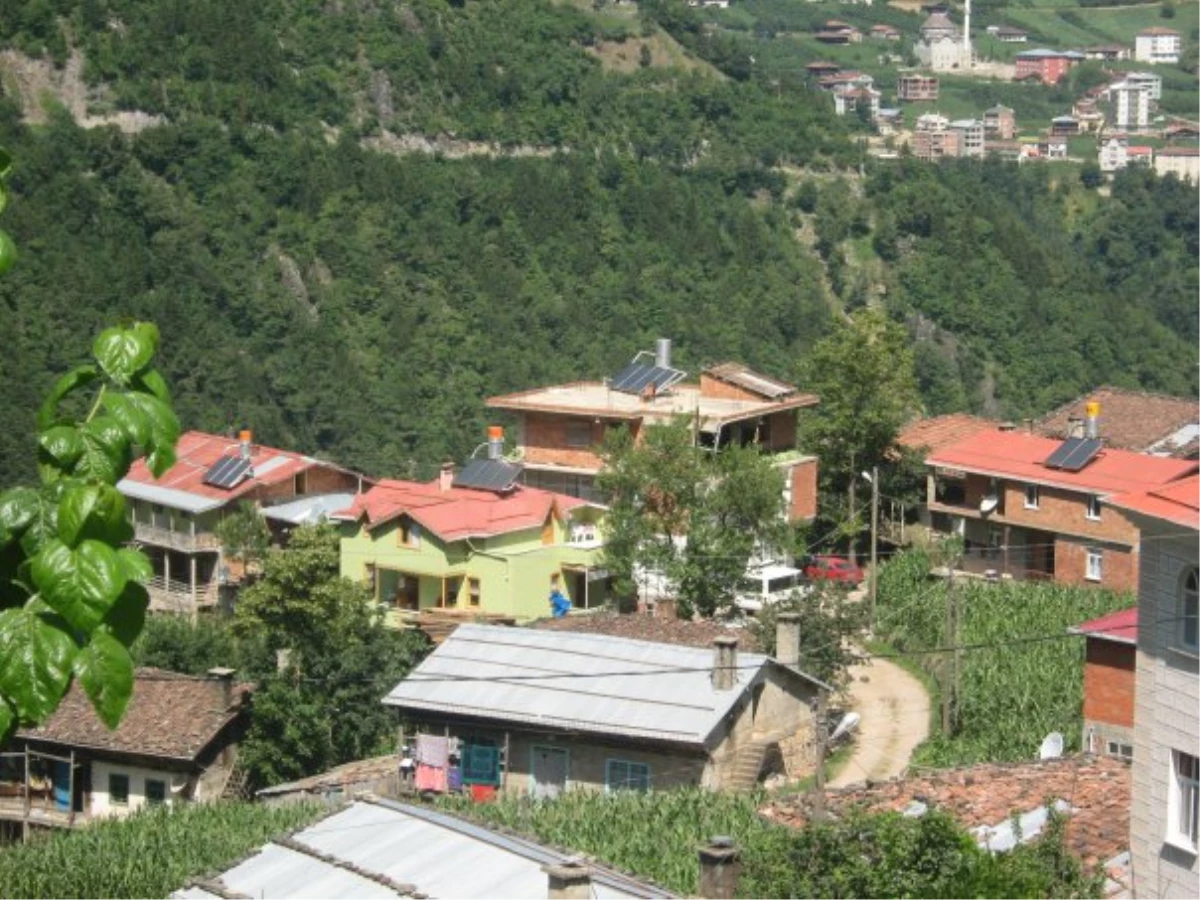 Trabzon\'da Orman Köylüsü Güneş Enerjisi\'ni Keşfetti