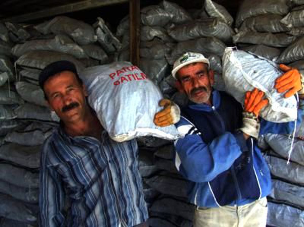 600 Ton Kömür Dağıtıldı