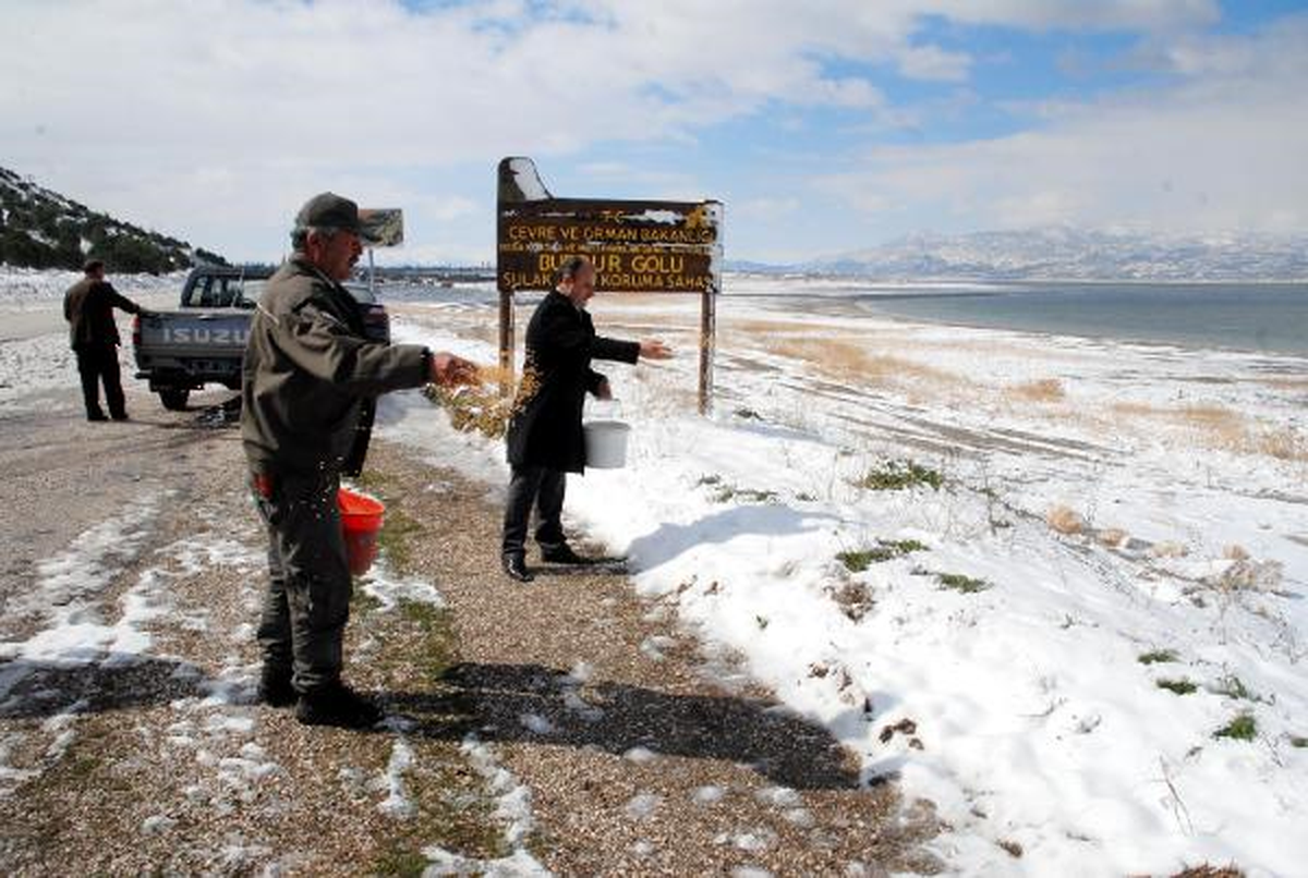 Aç Kalan Kuşlar İçin Doğaya Yem Bırakıldı