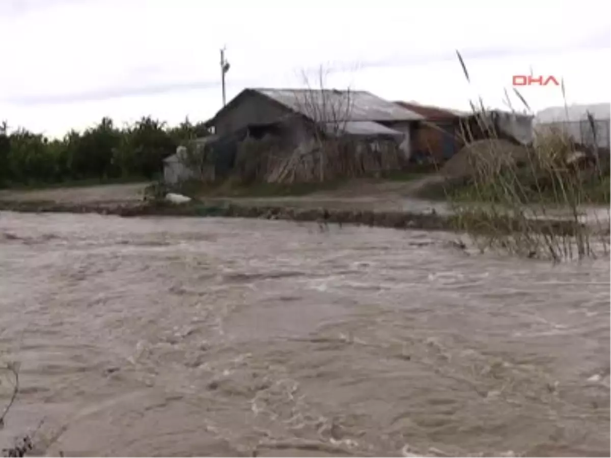 Antalya\'da Yağmur ve Fırtına Tarım Alanlarına Zarar Verdi