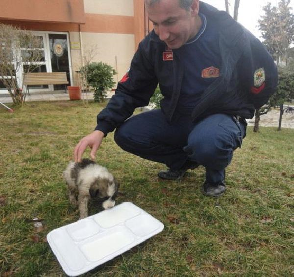 Mahsur Kalan Keçi ve Köpeği İtfaiye Kurtardı