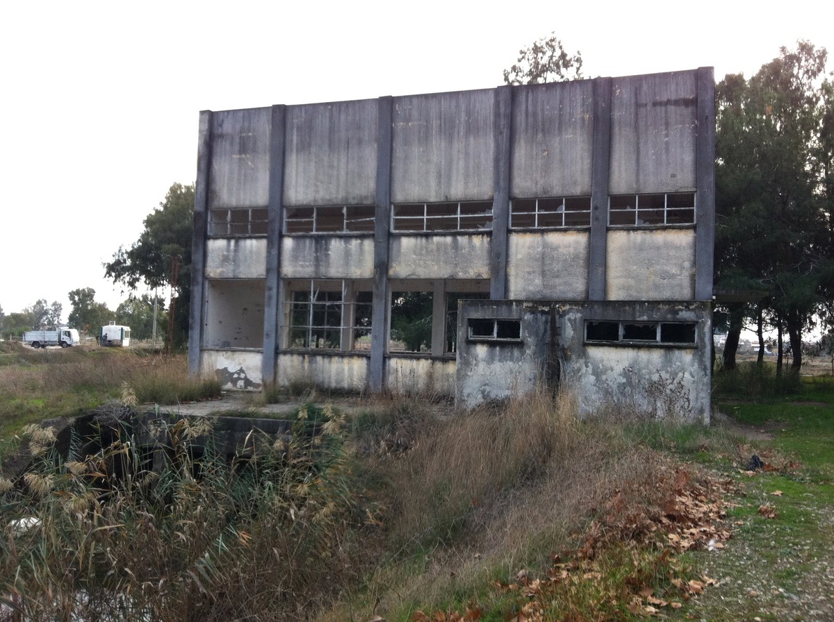 Manavgat Belediyesi\'nden Sokak Hayvanlarına Barınak