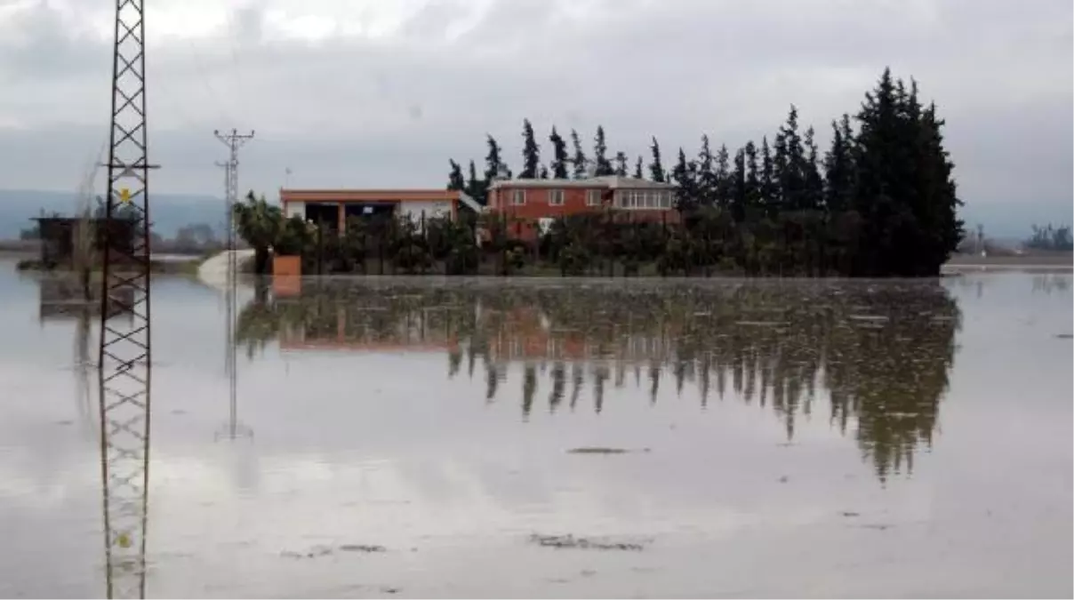 Asi Nehri Taştı, Evler ve Tarım Alanları Su Altında Kaldı