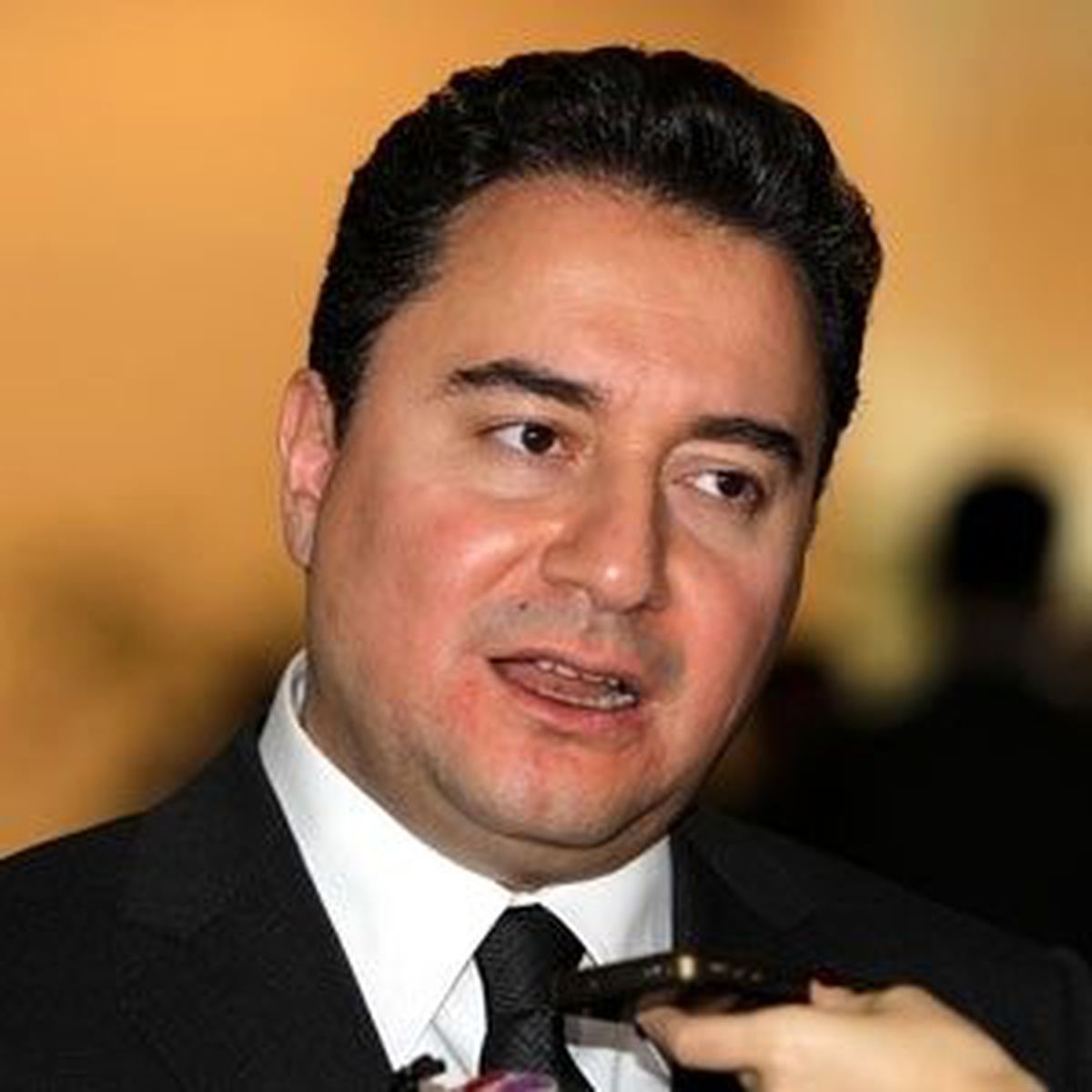 Babacan 'Arap Baharı' Paneline Katıldı