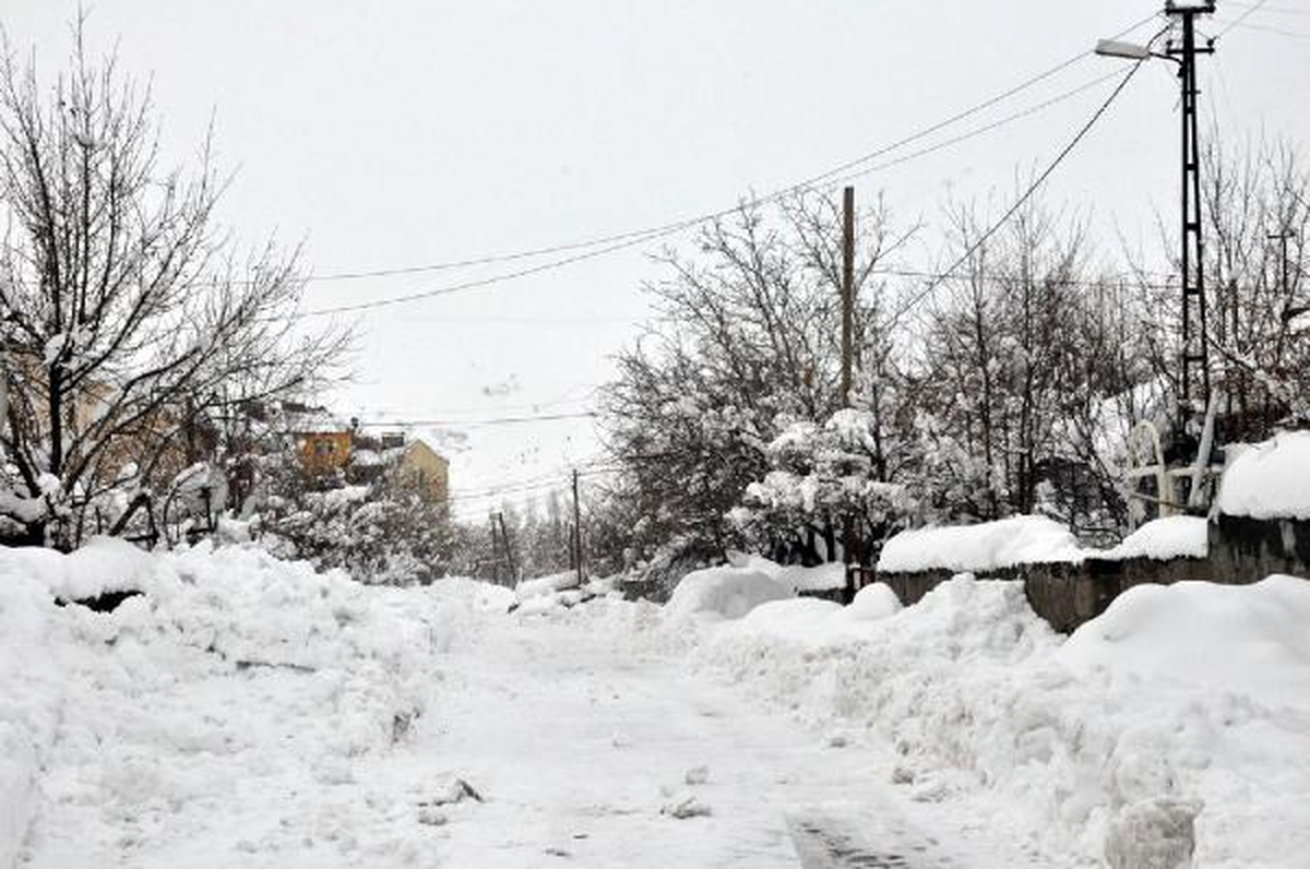 Bitlis\'te 167 Köy Yolu Ulaşıma Kapandı