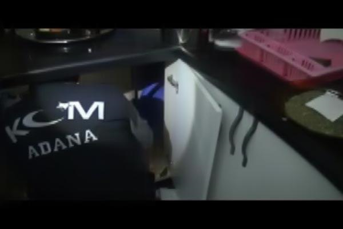 Çamaşır Deterjanının İçinde 5 Kilo Esrar