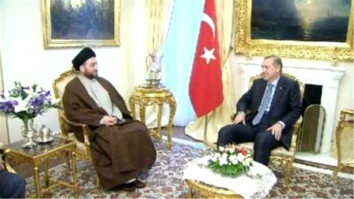 Erdoğan\'ın Irak Yüksek İslam Konseyi Başkanı El Hekim\'i Kabulü