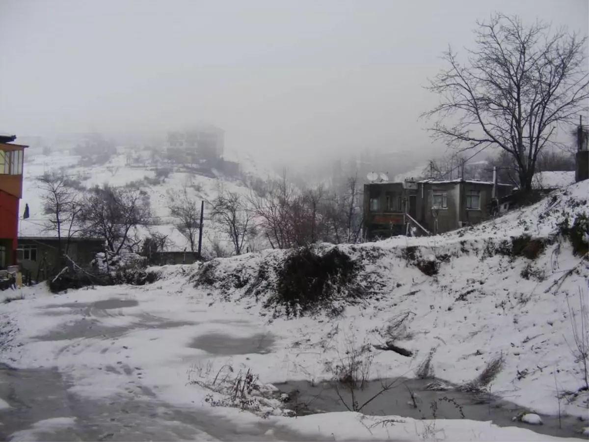 Ereğli ve Alaplı\'da Kar Etkili Oldu