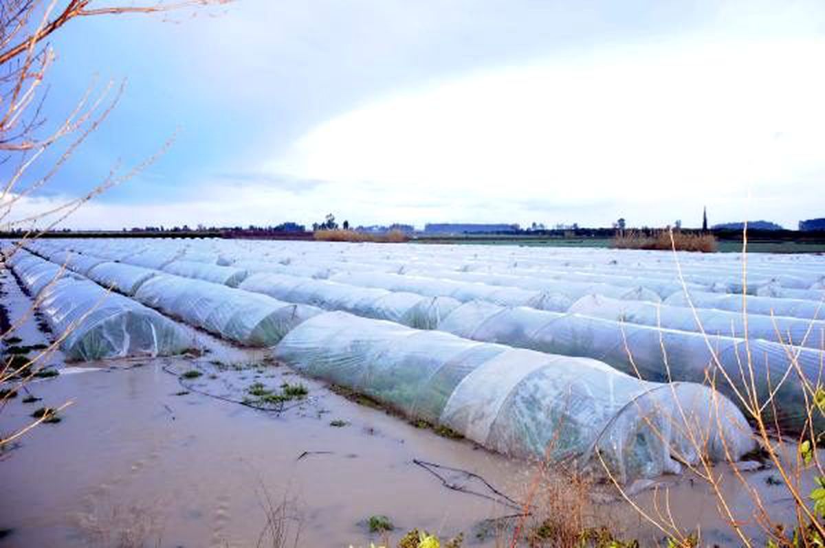 Tarsus'ta 15 Bin Dönüm Tarım Arazisi Sular Altında Kaldı