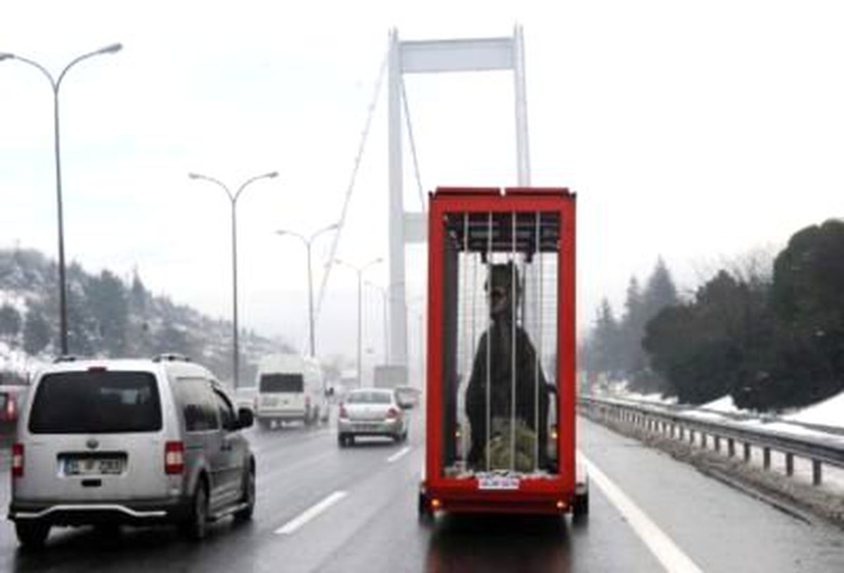 Köprüden Dinozor Geçti
