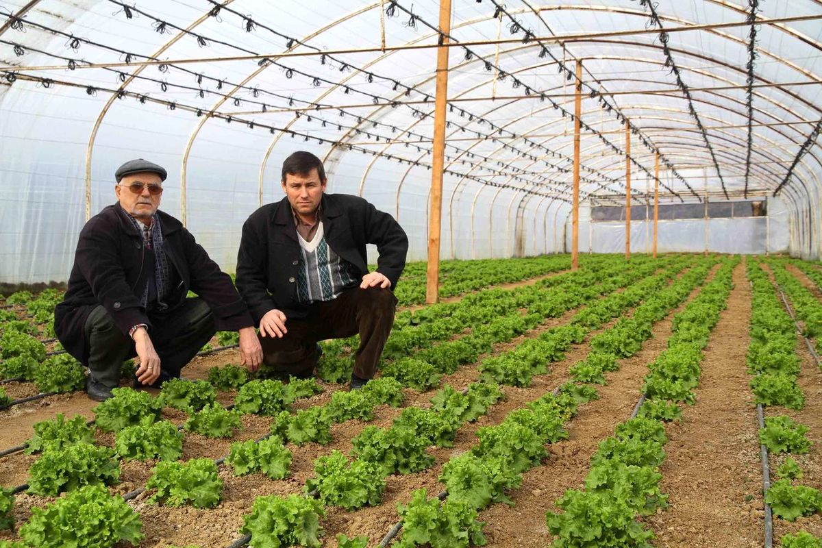 Kocaeli\'de Ürünler Tarladan Tüketiciye Sunulacak