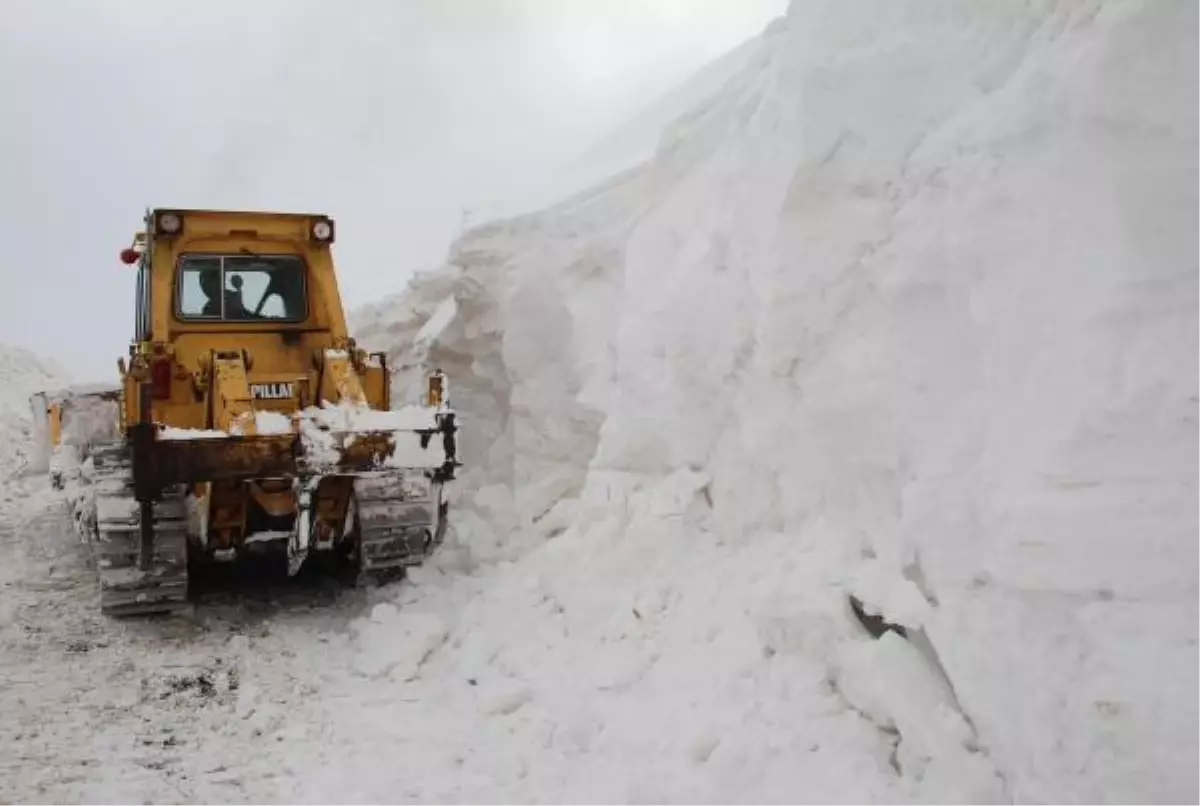 Yol Açmaya Gittiler, Tipide Mahsur Kaldılar
