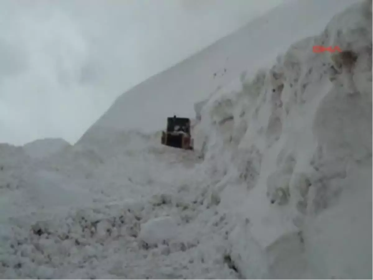 Yol Açmaya Gittiler, Tipide Mahsur Kaldılar