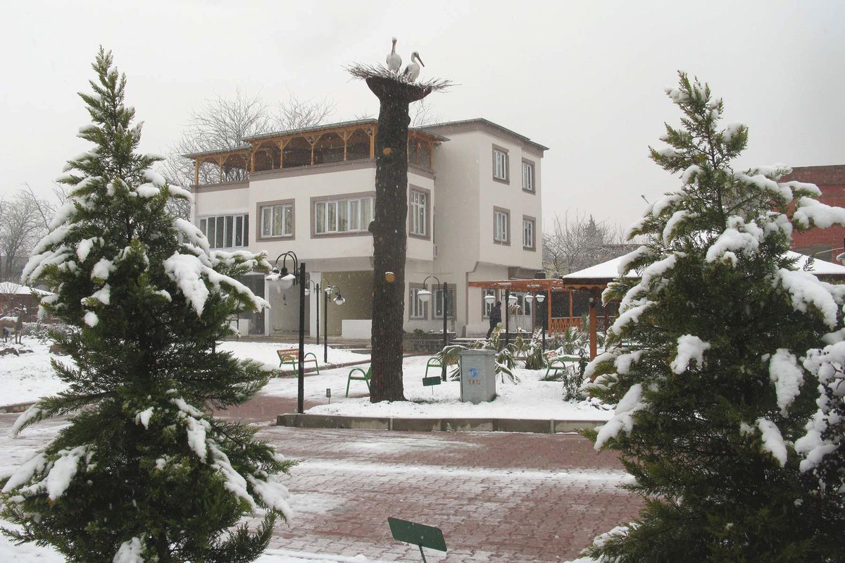 Araban Ovası 27 Yıl Sonra Kara Doydu