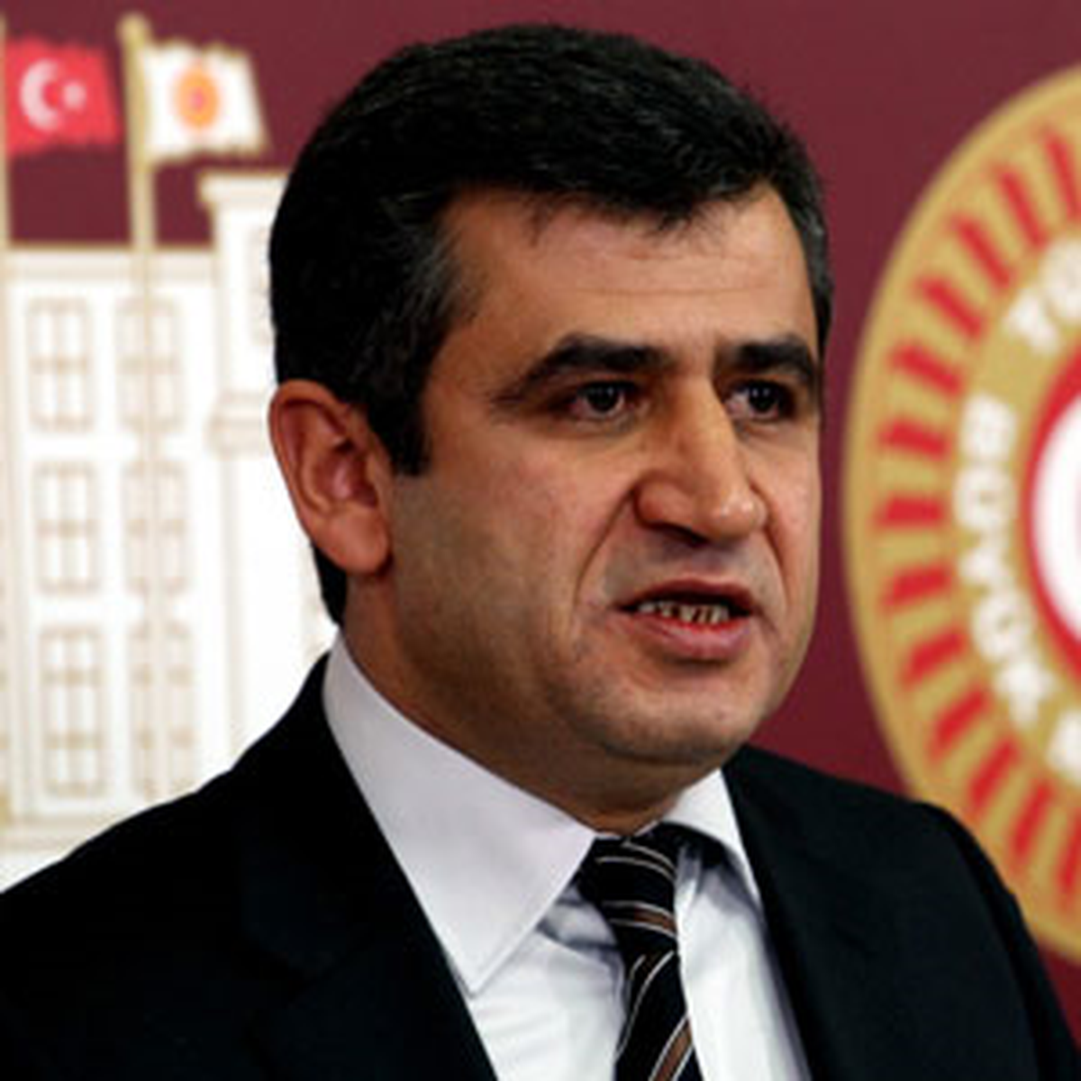 BDP Araştırılma İstedi