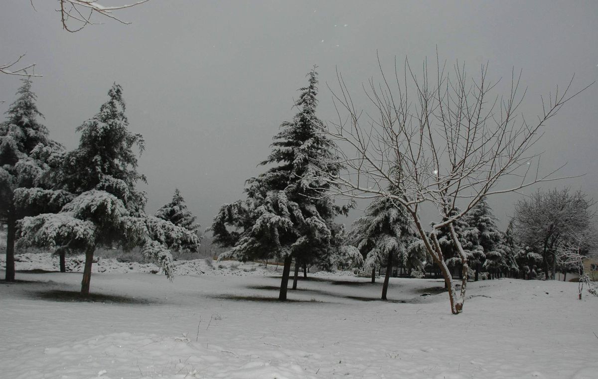 Denizli Karla Uyandı