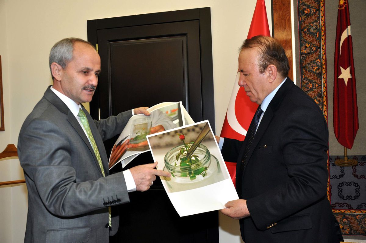 Gülbirlik\'ten Yeni İki Ürün