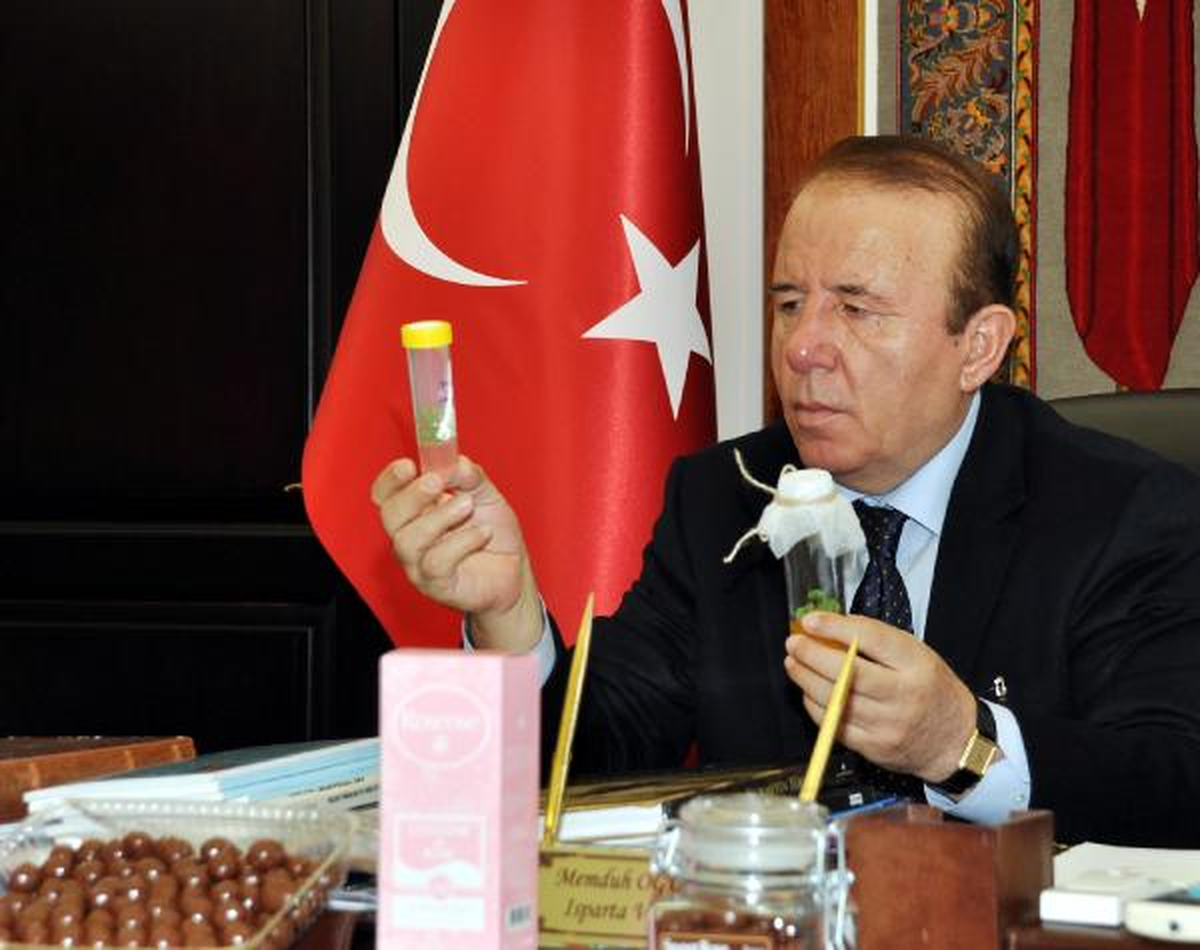 Sevgililer Günü\'ne Özel \'Gül\' Ürettiler